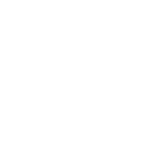 Elegant Z